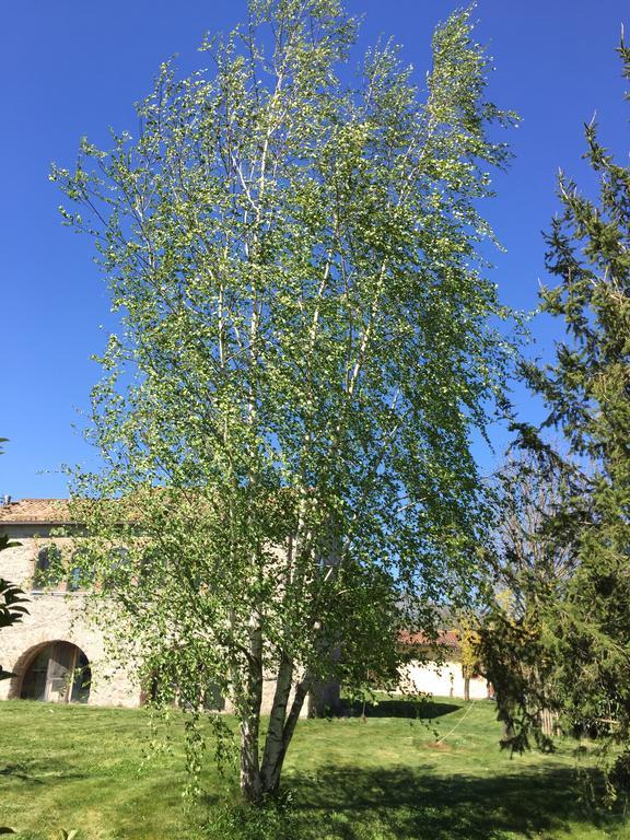 Villa Agriturismo Le Due Arcate San Massimo  Exterior foto